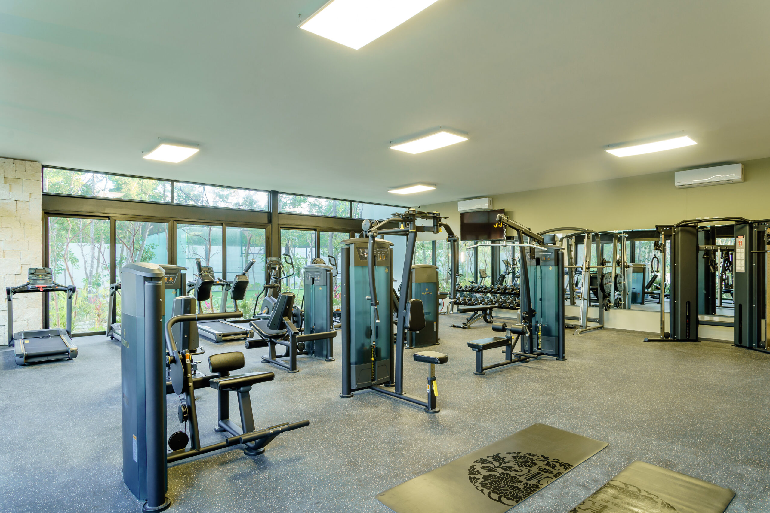 17. Gimnasio