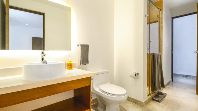 Recamara 1 baño vista 1