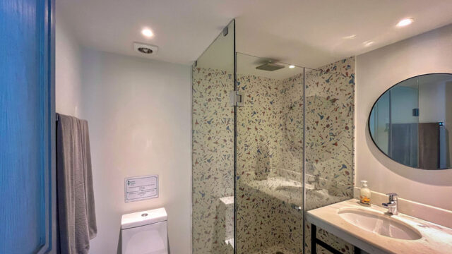 Singular-Joy-3-Bed-Condo-New-19